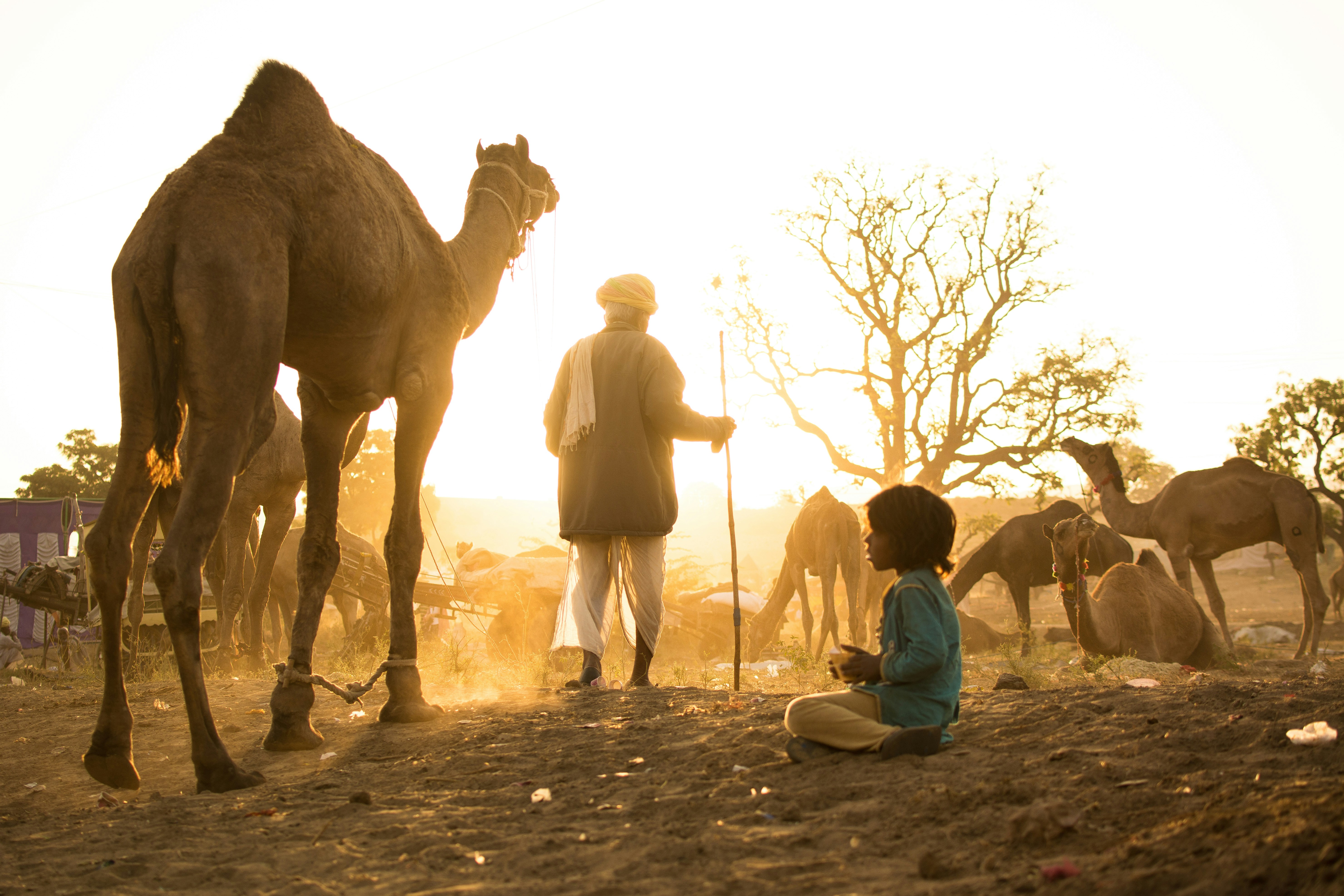 Rajasthan as good host for Bollywood & Hollywood, Web Shows